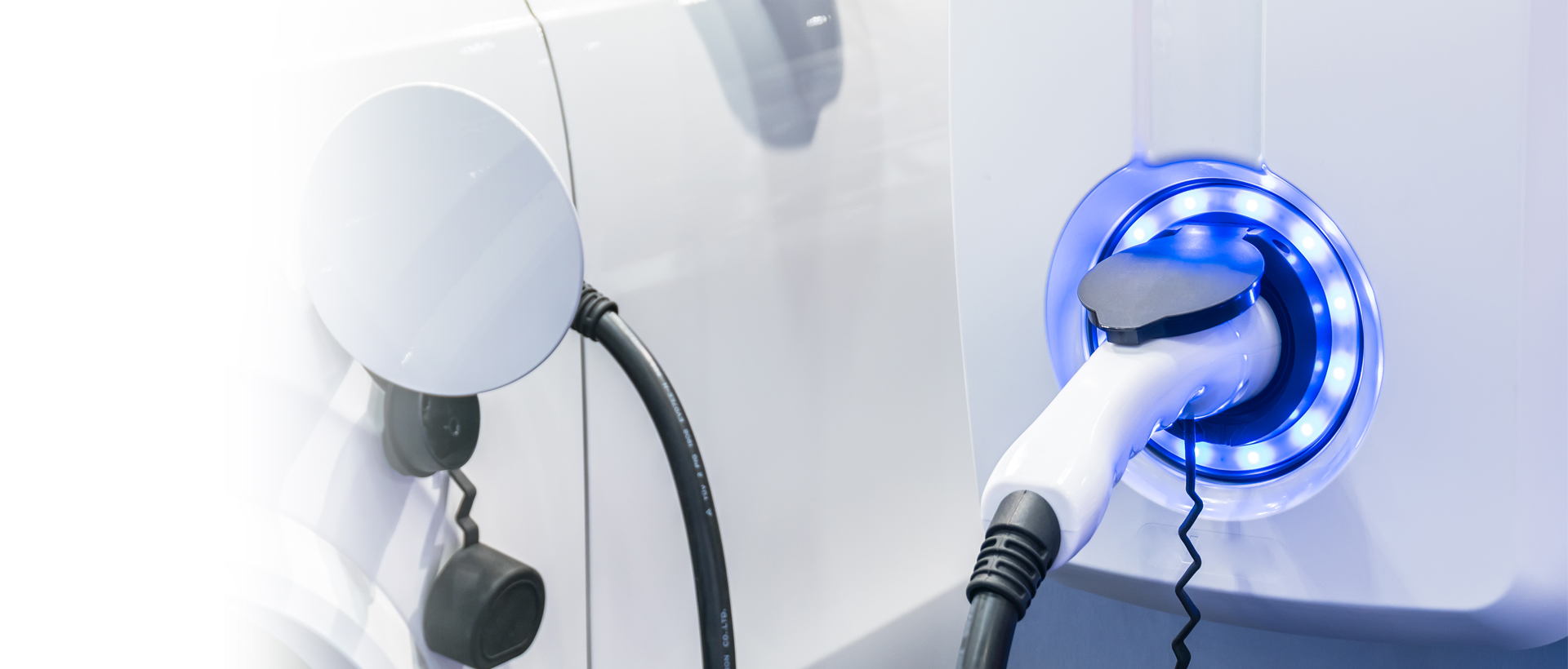 影东精业在线观看